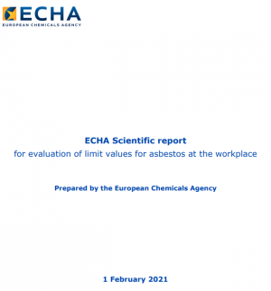 Lancement d'une consultation de l'Agence Européenne des Produits Chimiques sur l'évaluation des limites d'exposition des travailleurs à l'amiante